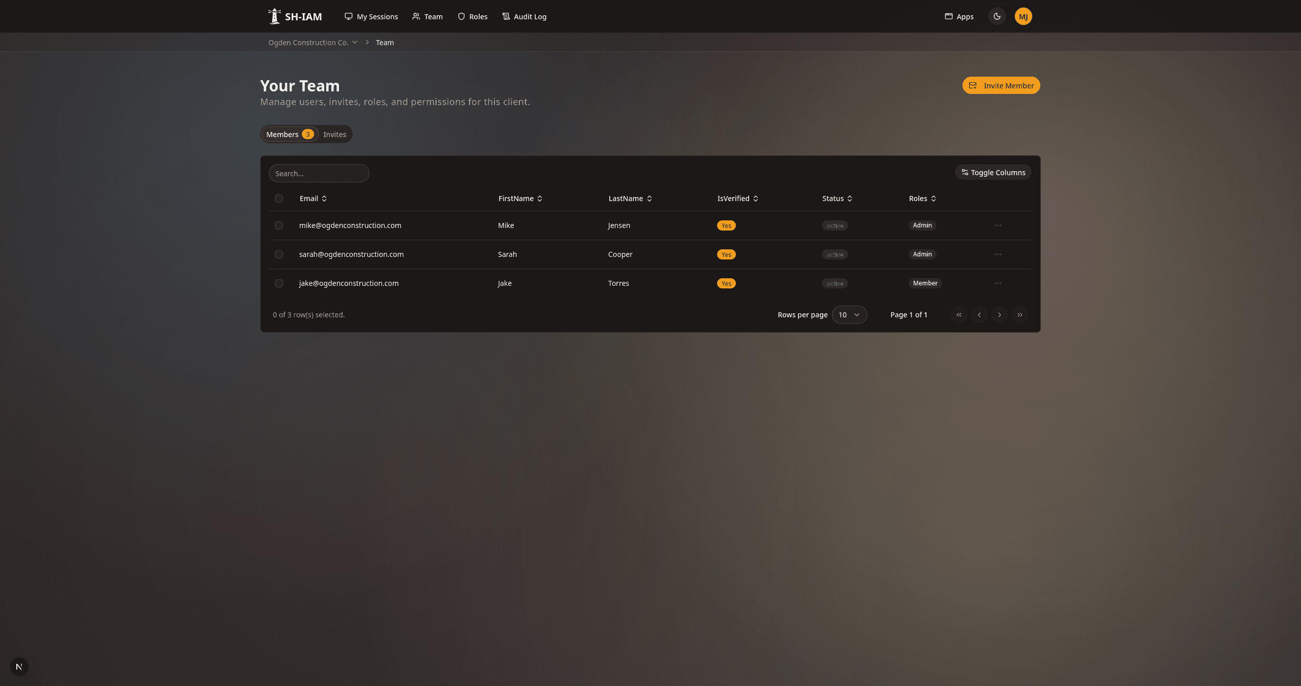 Team management showing members and their roles